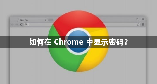 如何在 Chrome 中显示密码？