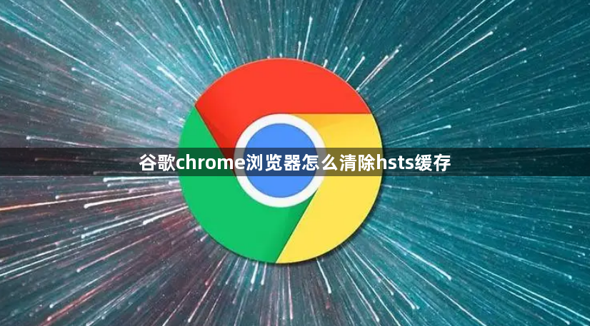 谷歌chrome浏览器怎么清除hsts缓存1