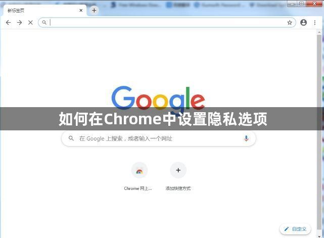 如何在Chrome中设置隐私选项